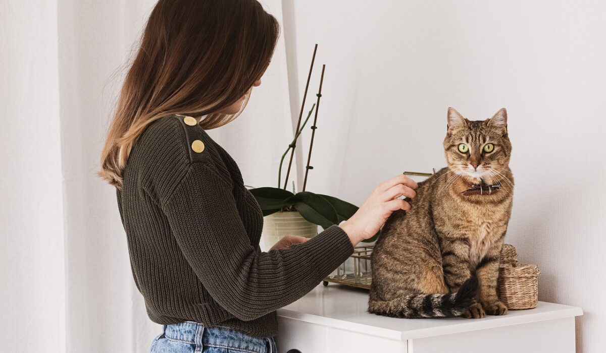 A woman petting a brown cat.