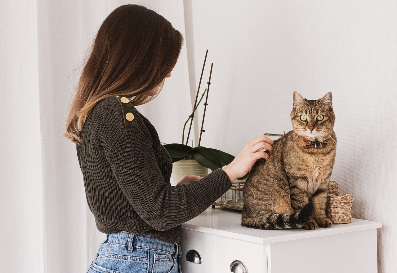 A woman petting a brown cat.