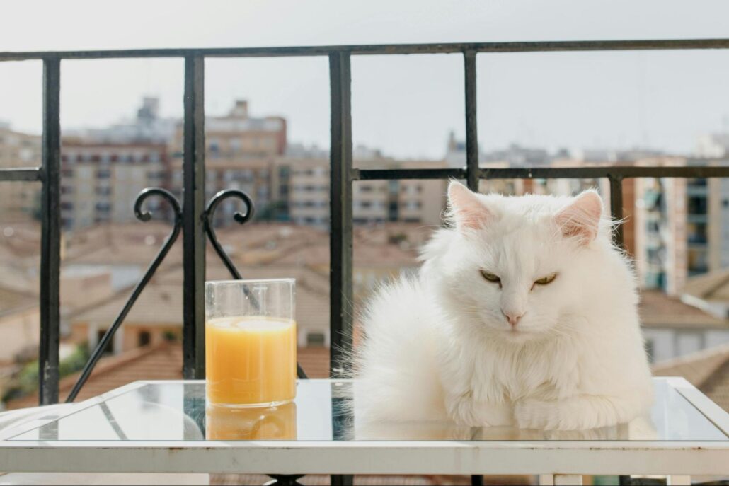 A white cat laying on a table on a balcony in a city.