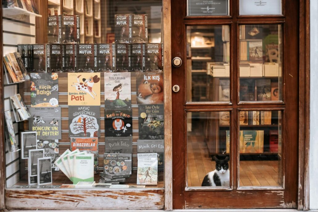 A black and white cat in a bookstore.