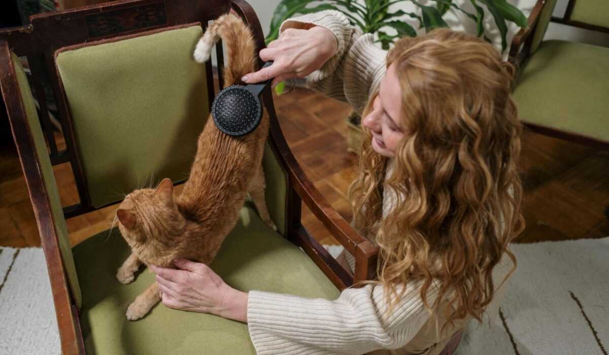 A woman brushing her orange cat at home